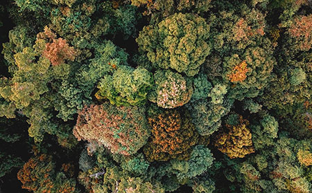 银屑病患者如何选择治疗的好方法