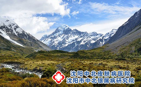 银屑病的发病机制与哪些因素有关联?